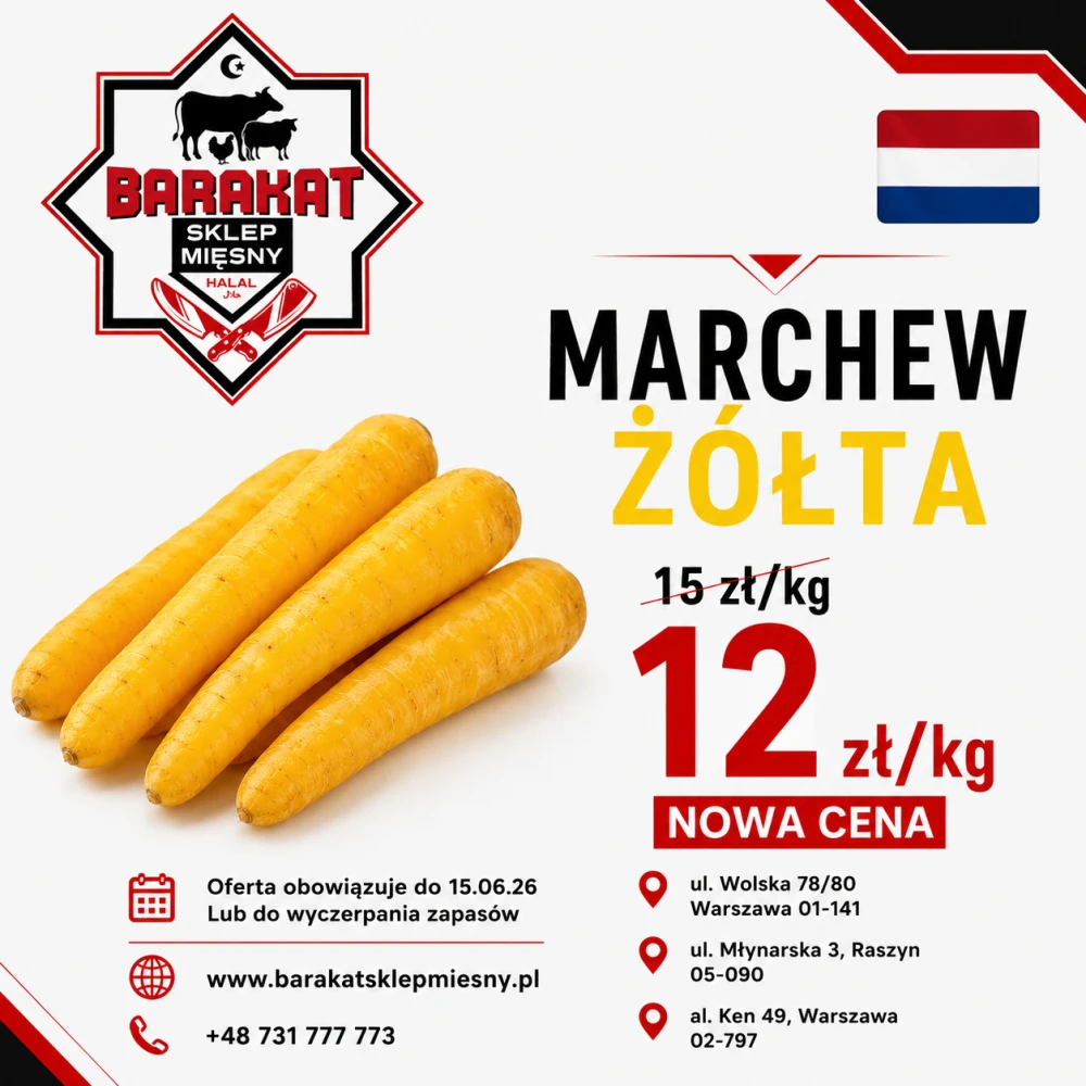 hollandia marchew.png