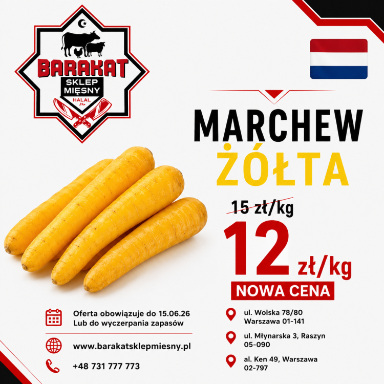 hollandia marchew.png